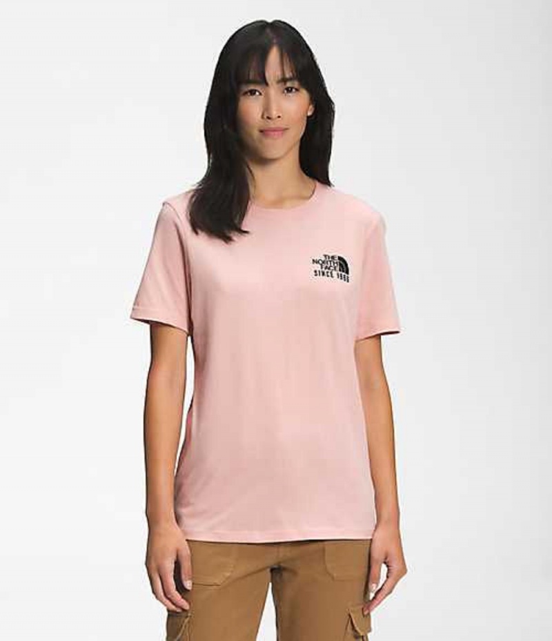 Camiseta The North Face Mountain Mujer Marrones Rosas | 1972368-SG