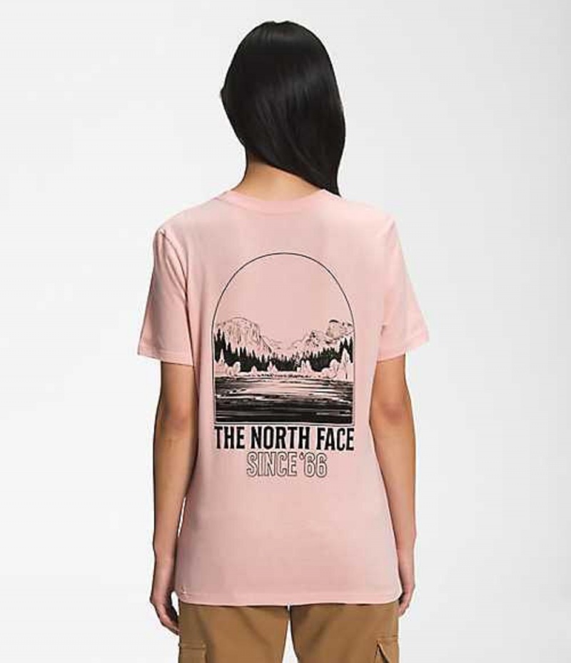 Camiseta The North Face Mountain Mujer Marrones Rosas | 1972368-SG