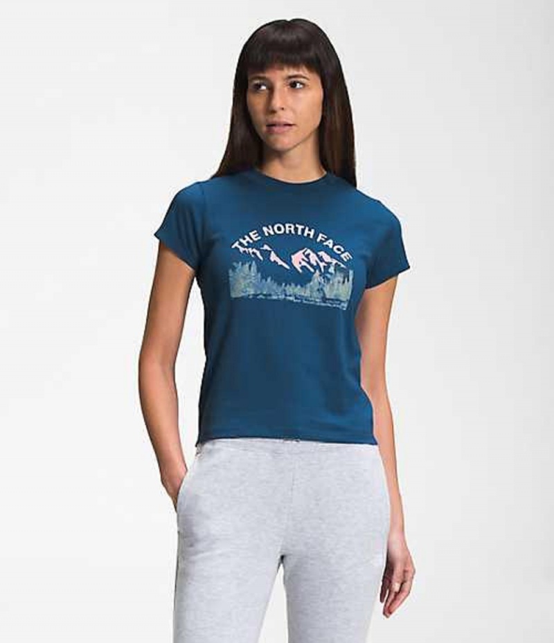 Camiseta The North Face Outdoors Mujer Azules | 4270913-FG