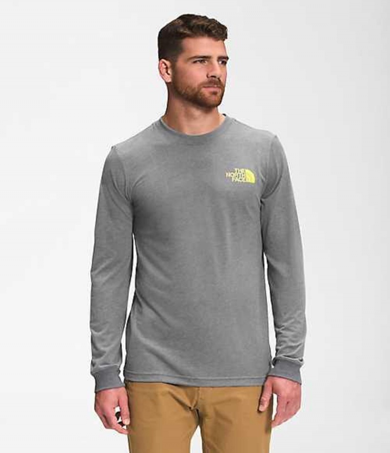 Camiseta The North Face Parks Hombre Gris | 6079358-WP