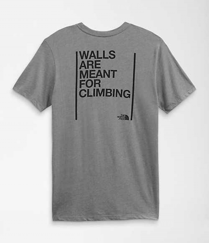 Camiseta The North Face Walls Hombre Gris | 7830591-MW