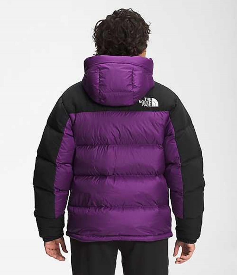 Chaqueta Plumas The North Face HMLYN Hombre Moradas | 7256941-CU