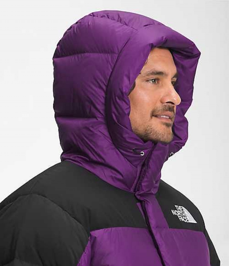 Chaqueta Plumas The North Face HMLYN Hombre Moradas | 7256941-CU