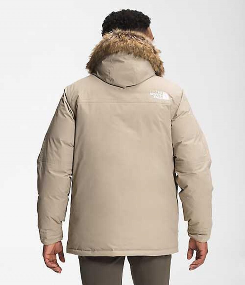 Chaqueta Plumas The North Face McMurdo Hombre Gris | 6197583-DR