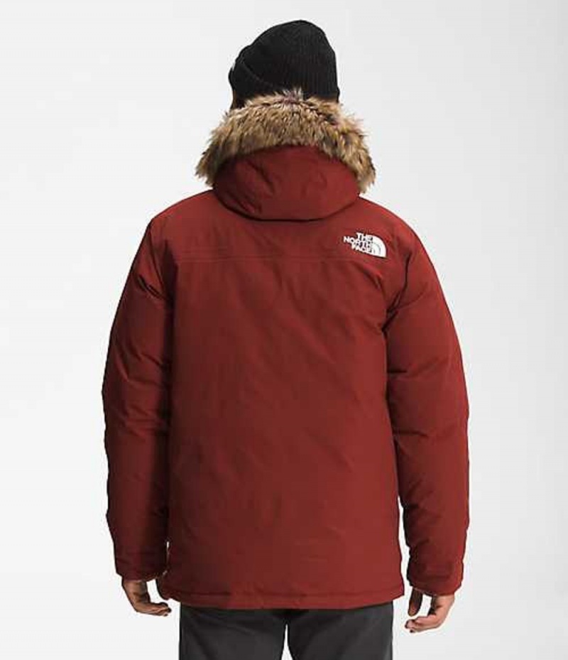 Chaqueta Plumas The North Face McMurdo Hombre Rojas | 4197865-BK