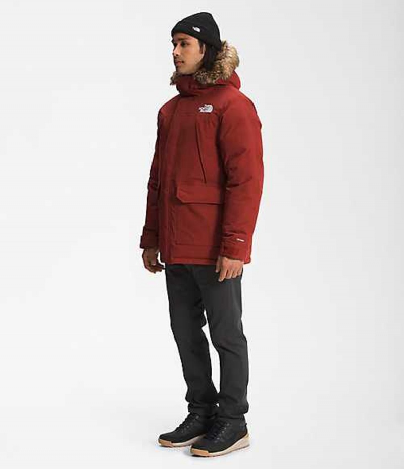 Chaqueta Plumas The North Face McMurdo Hombre Rojas | 4197865-BK