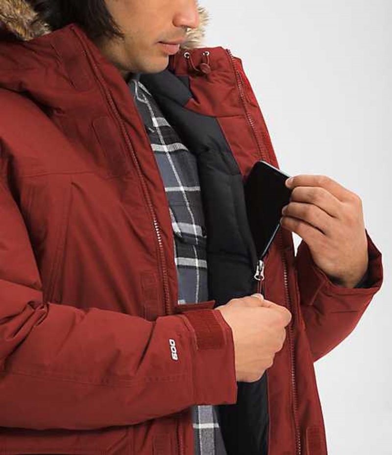 Chaqueta Plumas The North Face McMurdo Hombre Rojas | 4197865-BK