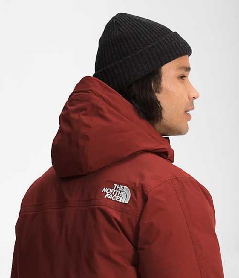 Chaqueta Plumas The North Face McMurdo Hombre Rojas | 4197865-BK