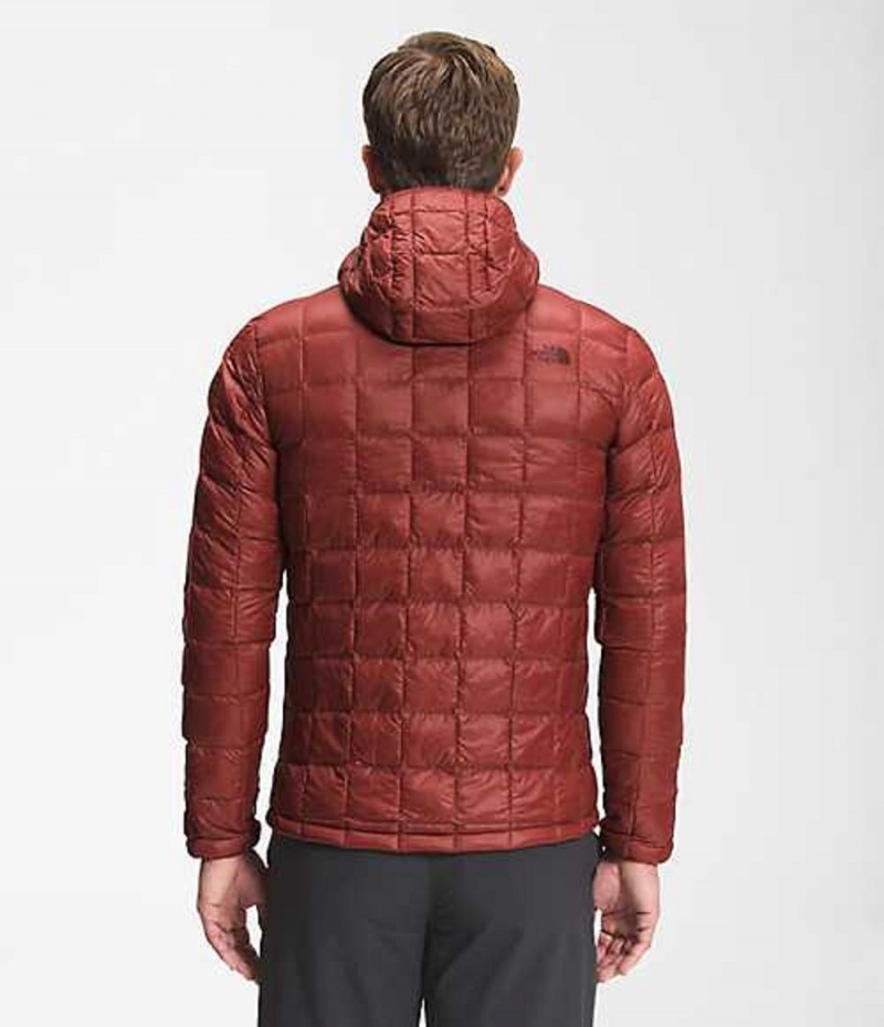 Chaqueta Plumas The North Face ThermoBall™ Eco Hombre Rojas | 4315809-HZ