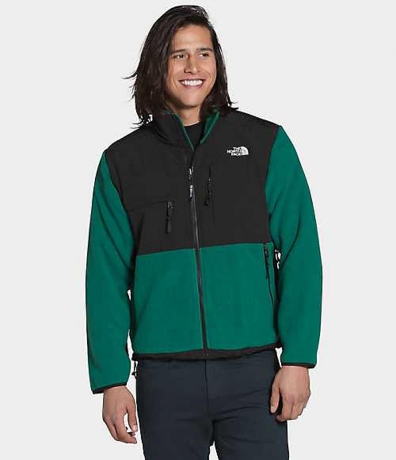 Fleece Jackets The North Face 95 Retro Denali Hombre Verde | 4269701-CK