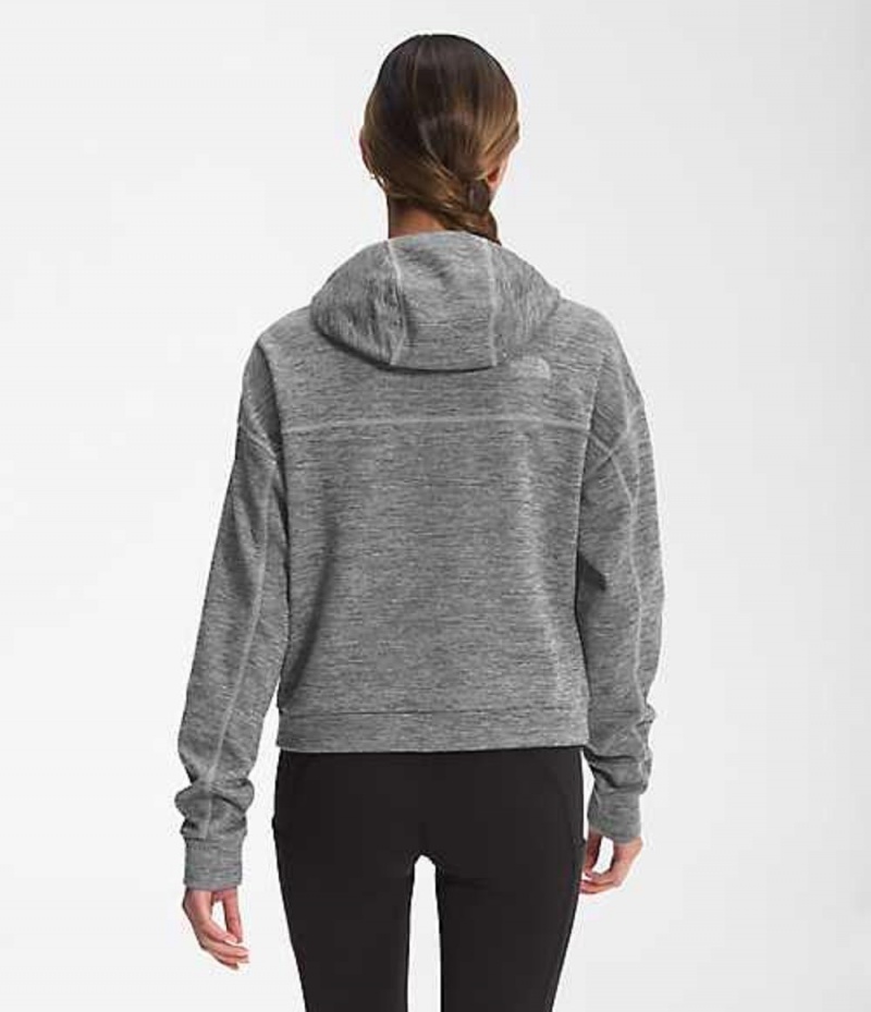 Fleece Jackets The North Face Canyonlands Mujer Gris | 0928576-GM