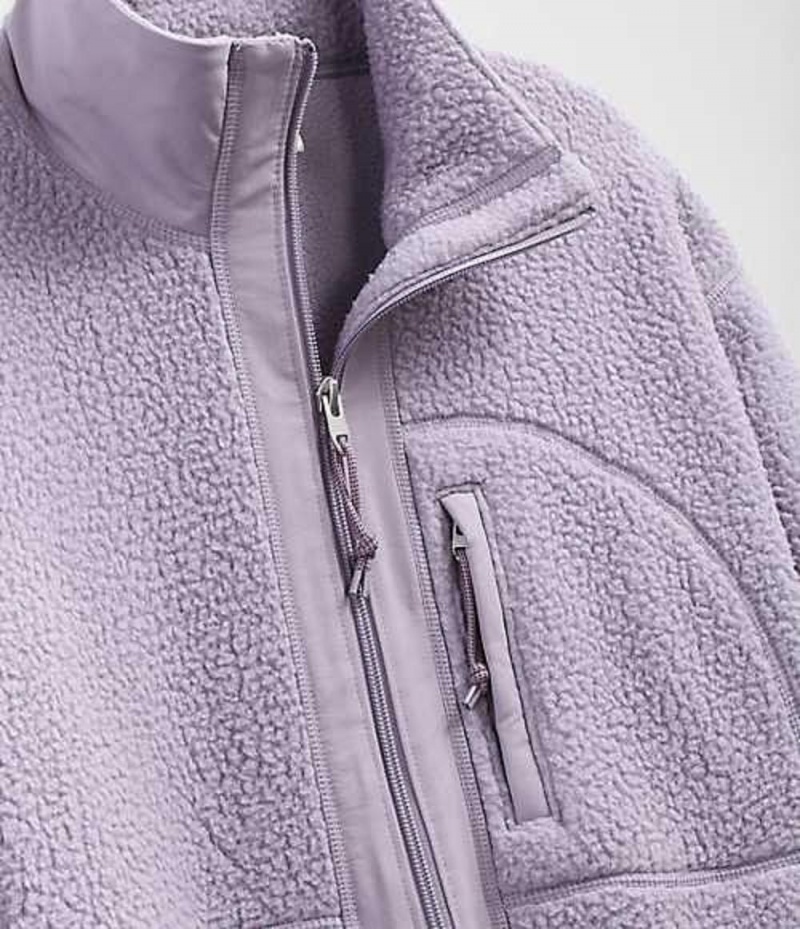 Fleece Jackets The North Face Cragmont Mujer Gris | 9560813-GI