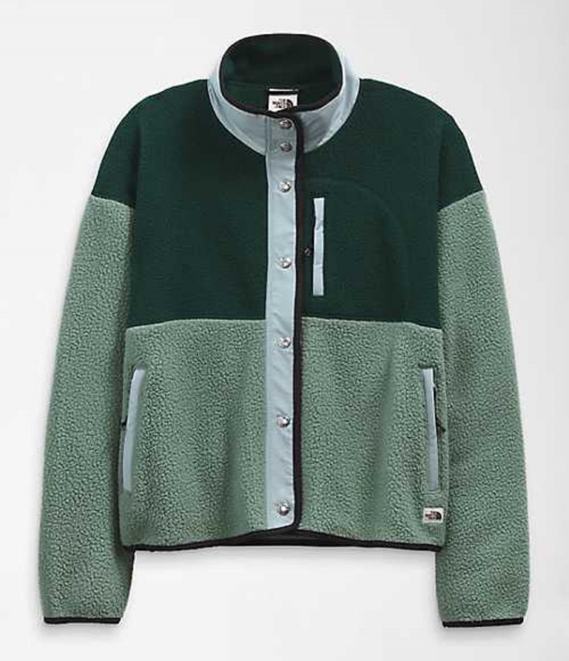 Fleece Jackets The North Face Cragmont Mujer Verde | 0286937-JG