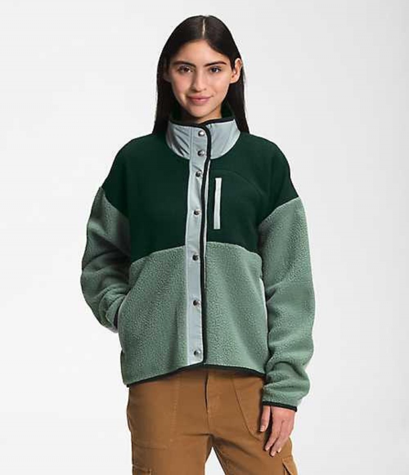 Fleece Jackets The North Face Cragmont Mujer Verde | 0286937-JG