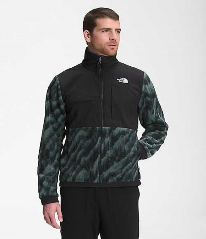 Fleece Jackets The North Face Denali 2 Hombre Verde | 0537816-MZ