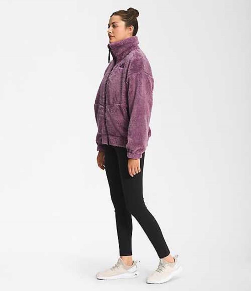 Fleece Jackets The North Face Osito Mujer Moradas | 3548729-PO