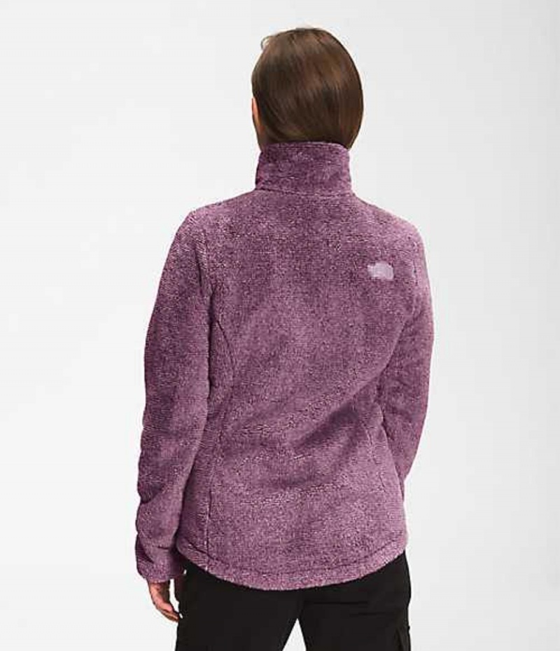 Fleece Jackets The North Face Osito Mujer Gris Moradas | 8469215-WJ