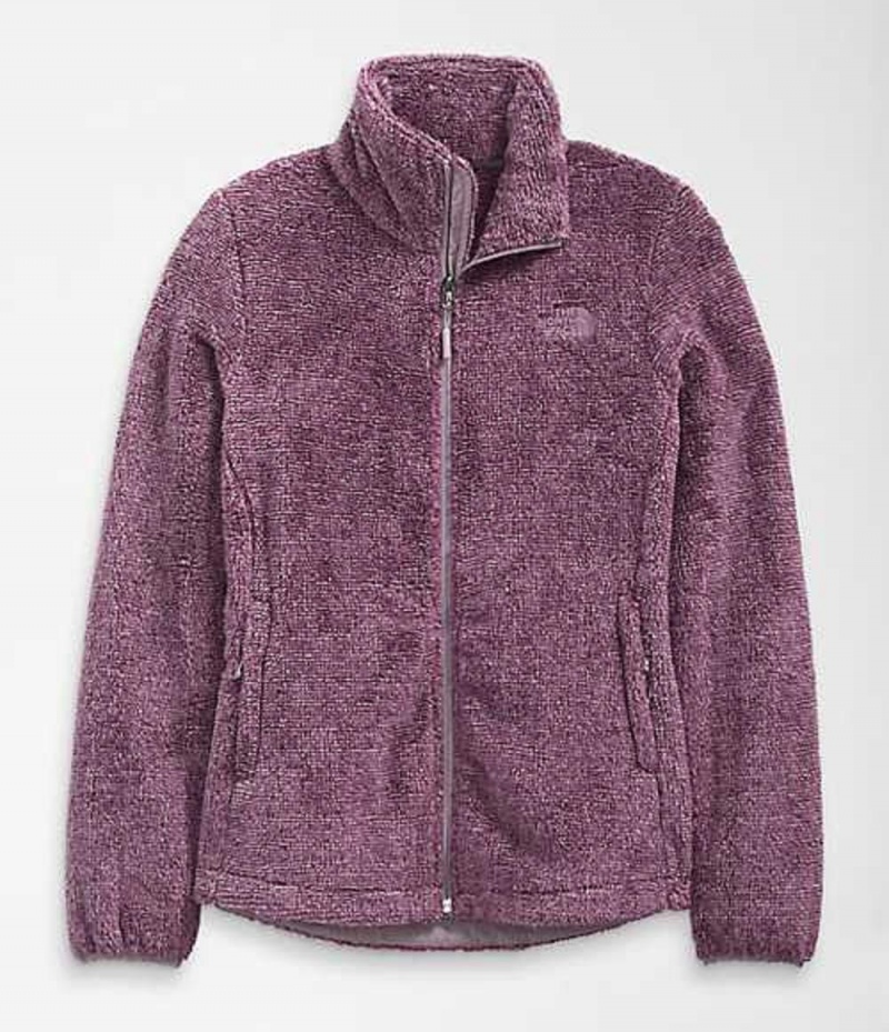 Fleece Jackets The North Face Osito Mujer Gris Moradas | 8469215-WJ