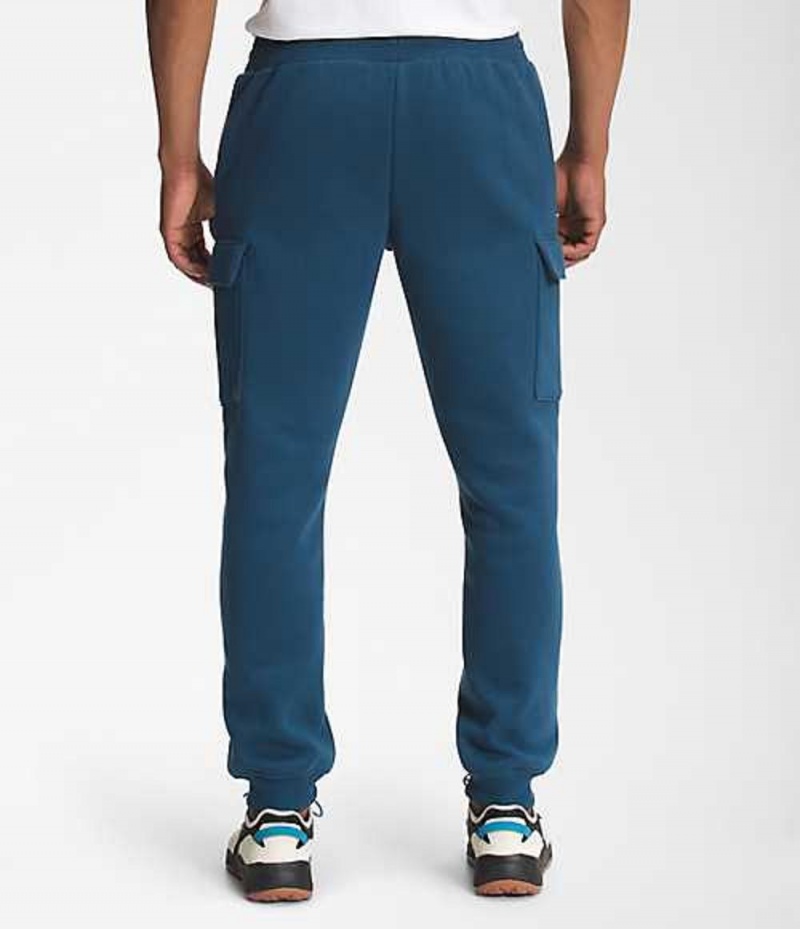 Pantalon The North Face Coordinates Hombre Azules | 9173526-ZI