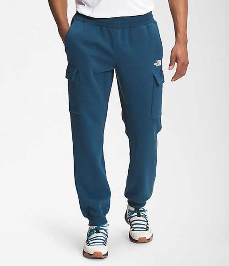 Pantalon The North Face Coordinates Hombre Azules | 9173526-ZI