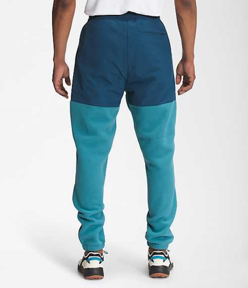 Pantalon The North Face Denali 2 Hombre Azules | 2718459-EH