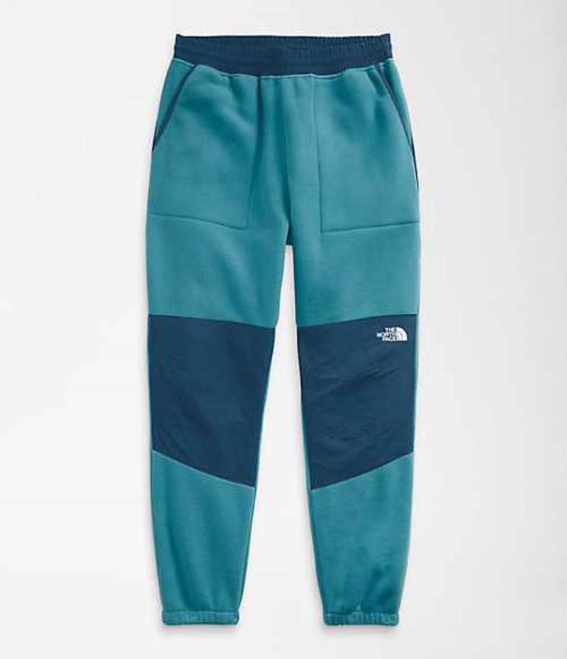 Pantalon The North Face Denali 2 Hombre Azules | 2718459-EH