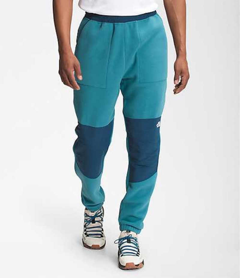 Pantalon The North Face Denali 2 Hombre Azules | 2718459-EH