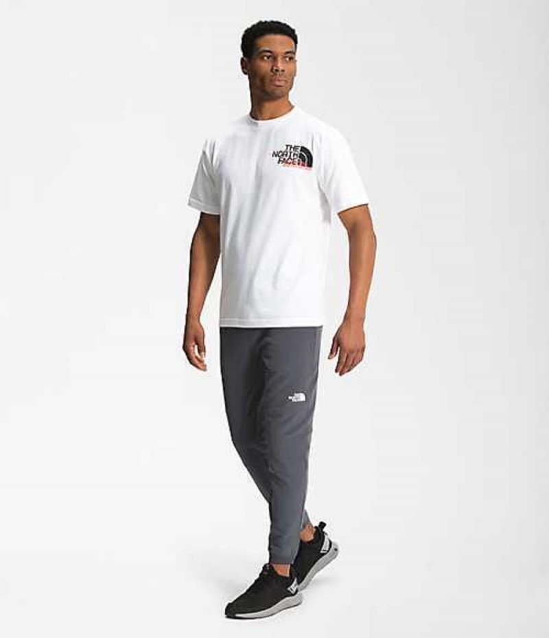 Pantalon The North Face Tekware® Hombre Gris | 3540671-FX