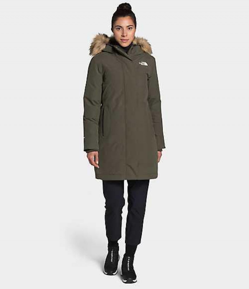 Parka The North Face Arctic Mujer Gris Marrones | 6583079-PI