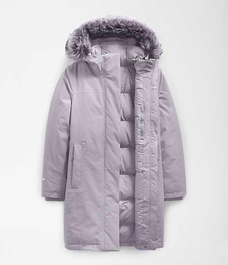 Parka The North Face Arctic Mujer Gris | 2946817-JK