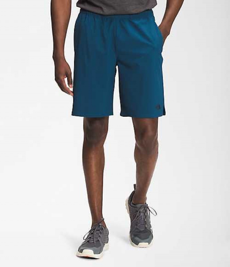 Short The North Face Wander Hombre Azules | 9085746-SR