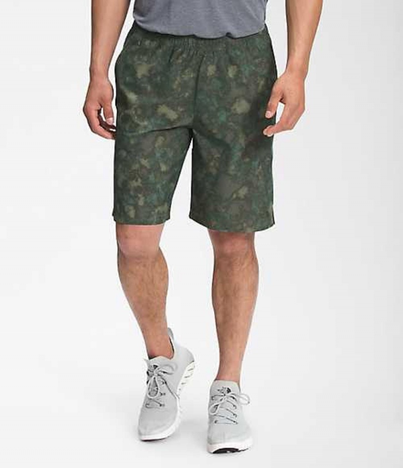 Short The North Face Wander Hombre Verde Oliva | 5346918-UJ