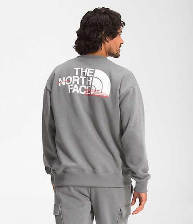 Sudadera The North Face Coordinates Hombre Gris | 5602791-FC