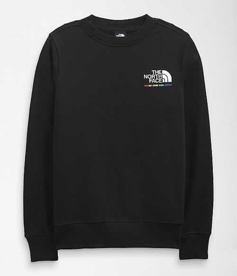 Sudadera The North Face Pride Hombre Negras | 2304918-RP