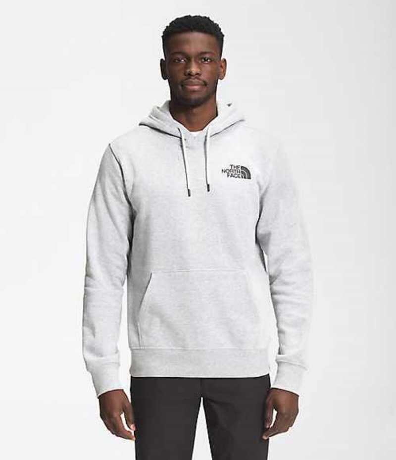 Sudadera con Capucha The North Face Bear NSE Hombre Gris Claro | 4287016-WT