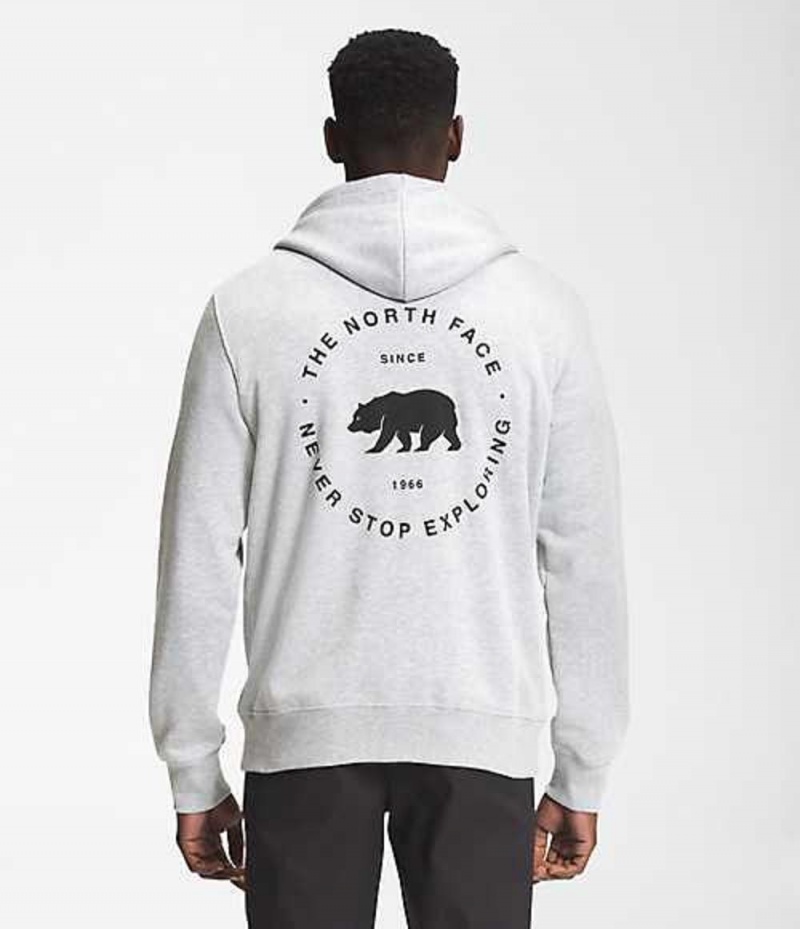 Sudadera con Capucha The North Face Bear NSE Hombre Gris Claro | 4287016-WT