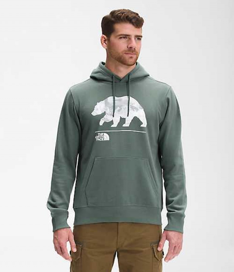 Sudadera con Capucha The North Face Bearscape Hombre Verde | 4587031-YG