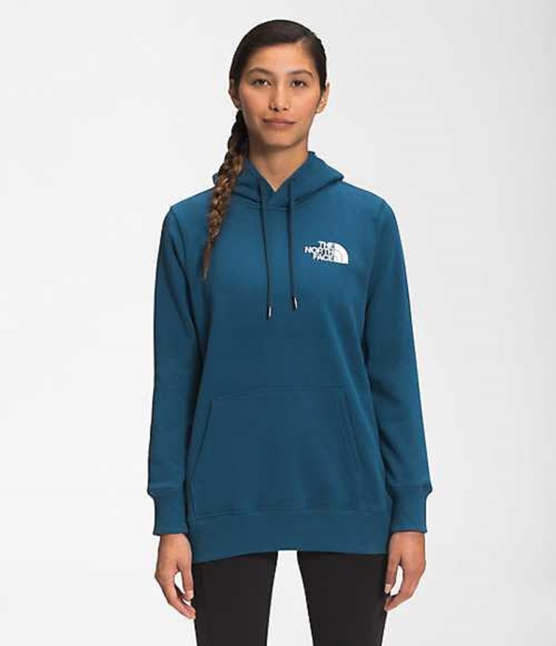 Sudadera con Capucha The North Face Box NSE Mujer Azules | 4378521-QJ