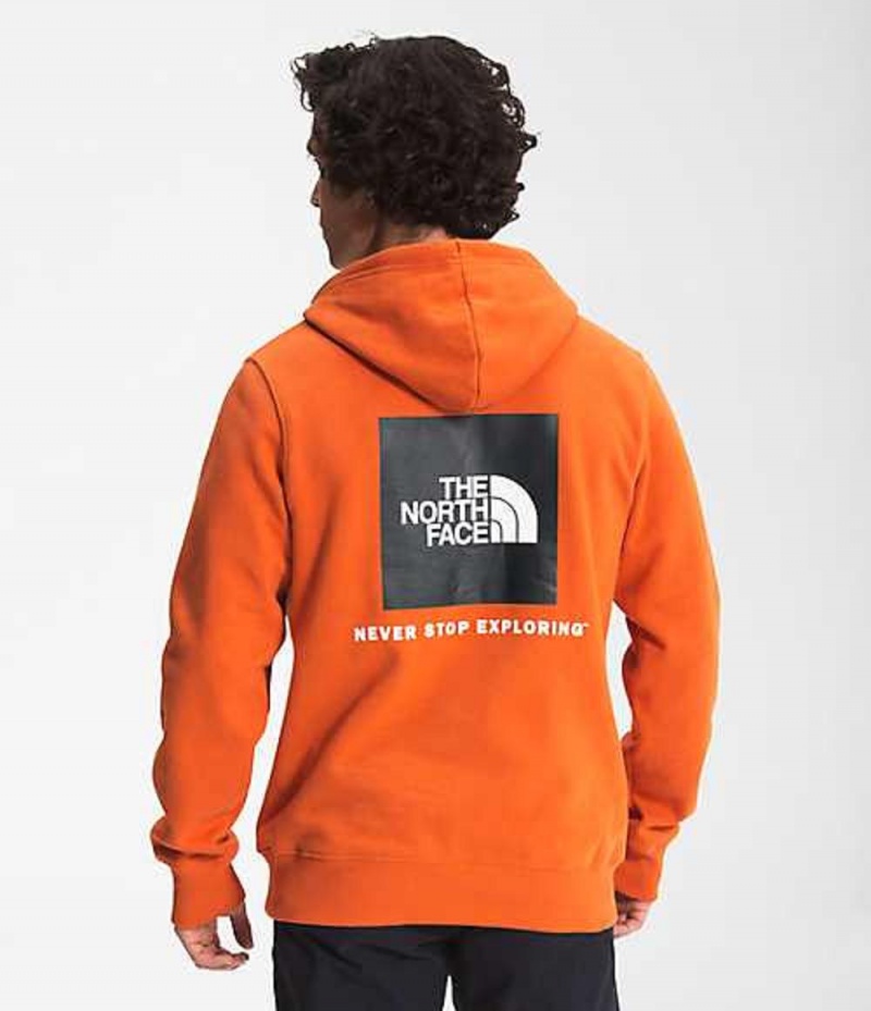 Sudadera con Capucha The North Face Box NSE Hombre Rojas | 7654832-ZB