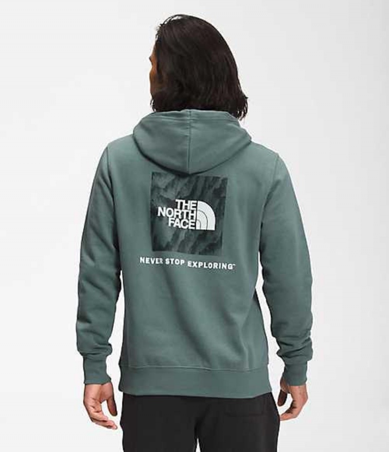 Sudadera con Capucha The North Face Box NSE Hombre Verde | 6243789-KZ