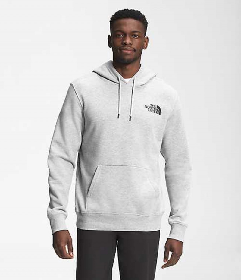 Sudadera con Capucha The North Face Box NSE Hombre Gris Claro | 8406971-CK