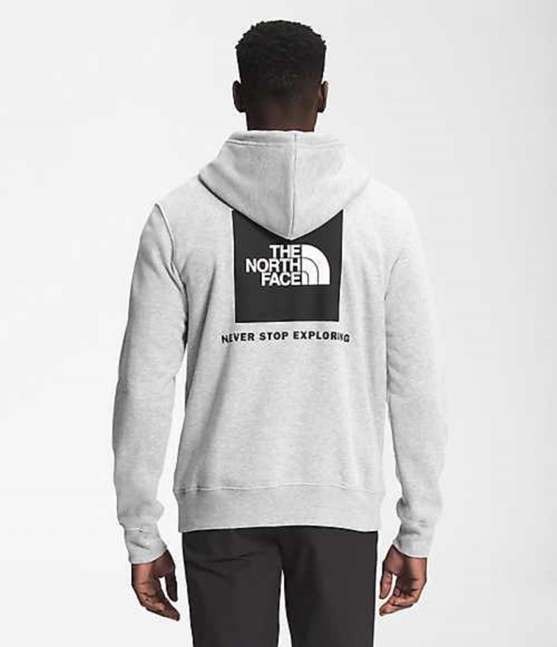 Sudadera con Capucha The North Face Box NSE Hombre Gris Claro | 8406971-CK