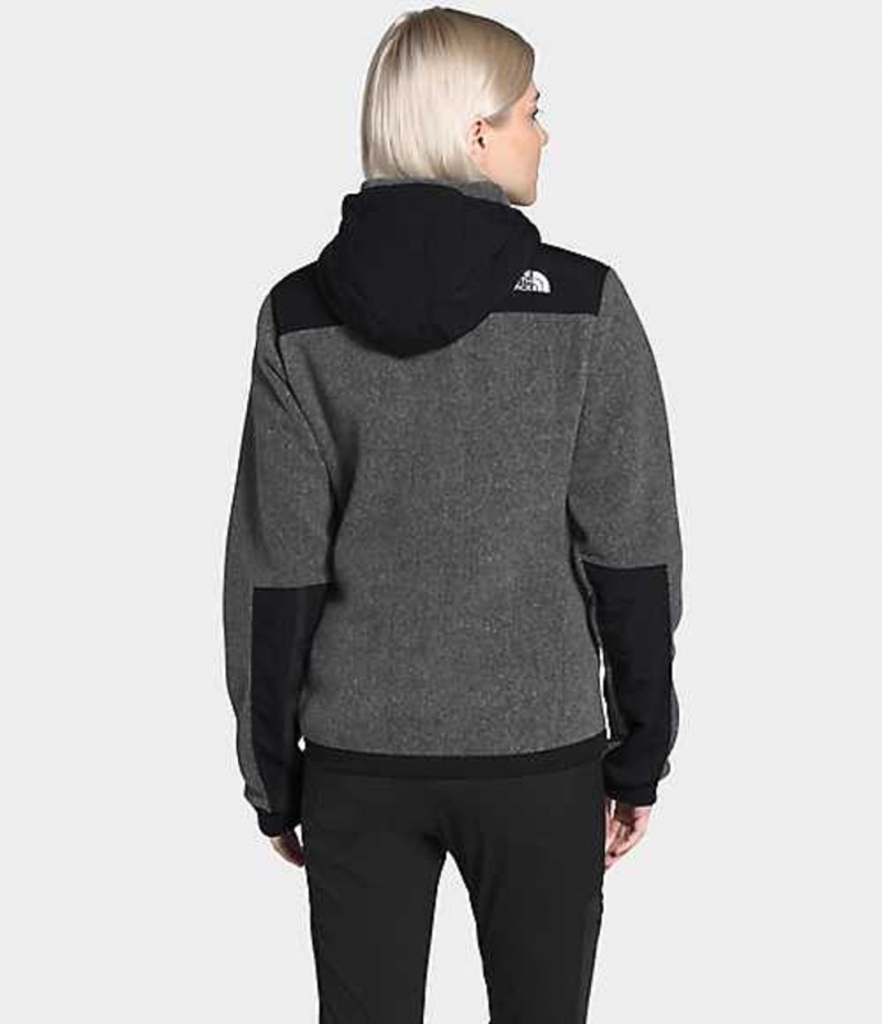 Sudadera con Capucha The North Face Denali 2 Mujer Gris | 5063921-PB