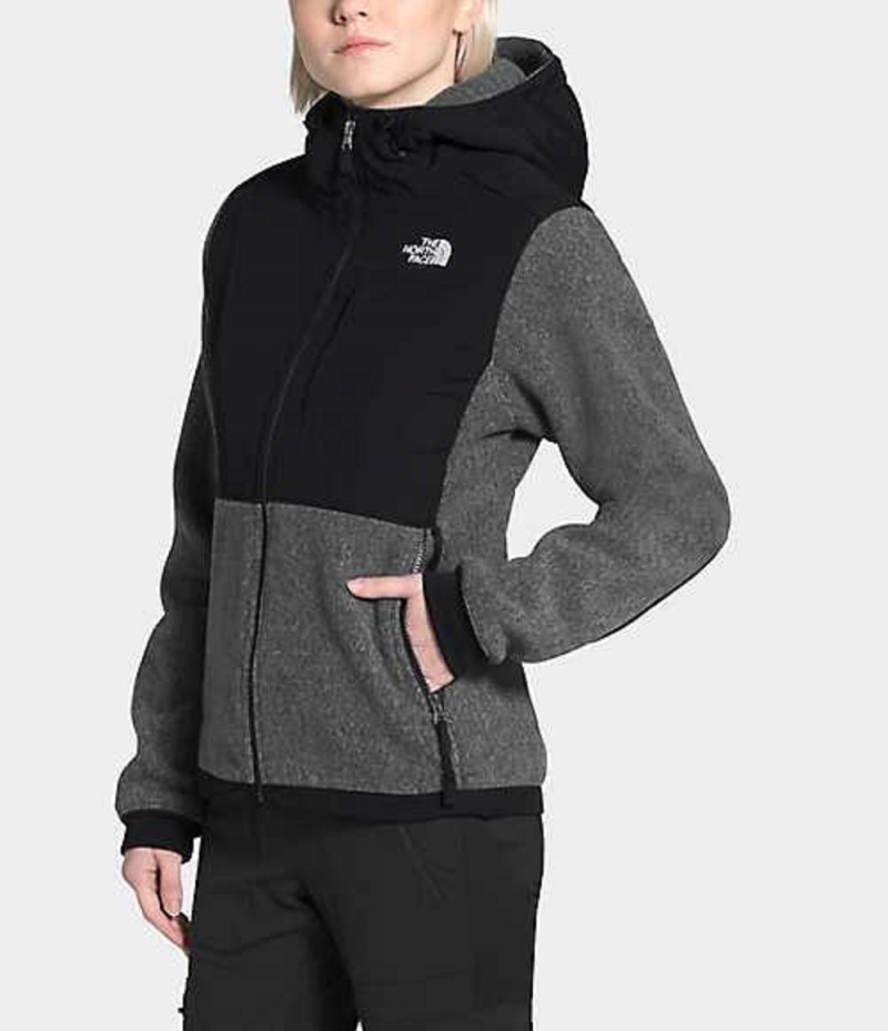 Sudadera con Capucha The North Face Denali 2 Mujer Gris | 5063921-PB