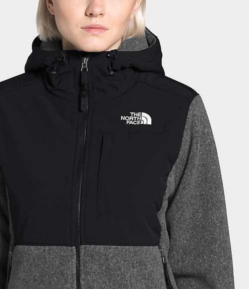 Sudadera con Capucha The North Face Denali 2 Mujer Gris | 5063921-PB