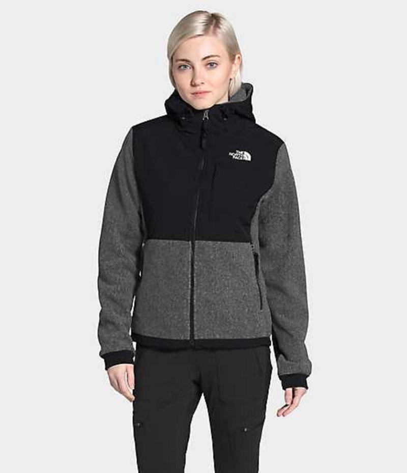 Sudadera con Capucha The North Face Denali 2 Mujer Gris | 5063921-PB