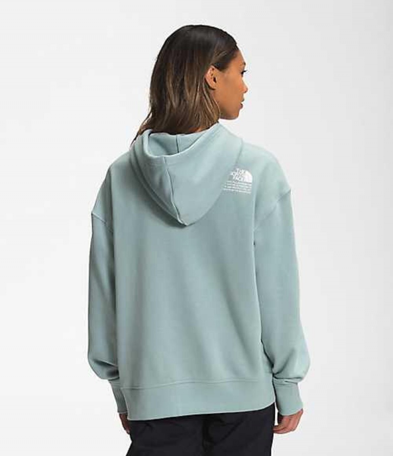 Sudadera con Capucha The North Face Himalayan Mujer Plateadas Azules | 6478130-BX