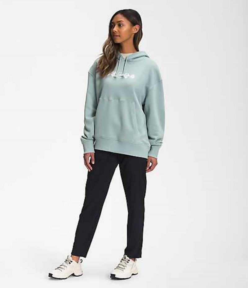 Sudadera con Capucha The North Face Himalayan Mujer Plateadas Azules | 6478130-BX