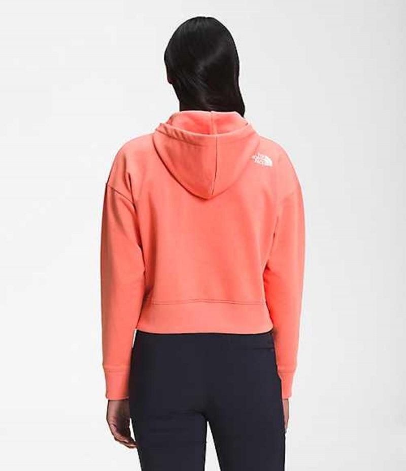 Sudadera con Capucha The North Face Logo Play Mujer Naranjas | 1846520-TB