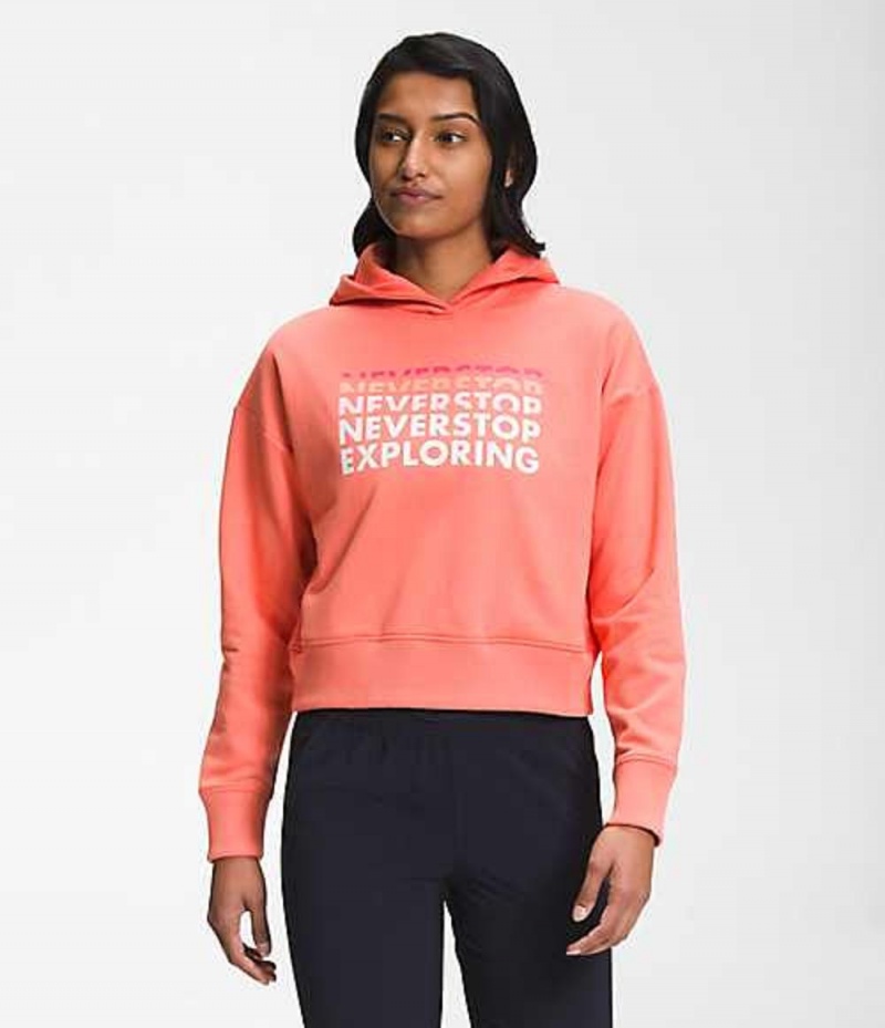 Sudadera con Capucha The North Face Logo Play Mujer Naranjas | 1846520-TB